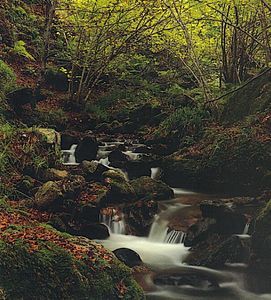 R&iacute;o Monasterio